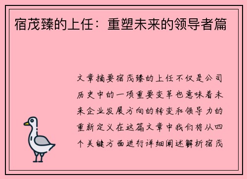 宿茂臻的上任：重塑未来的领导者篇
