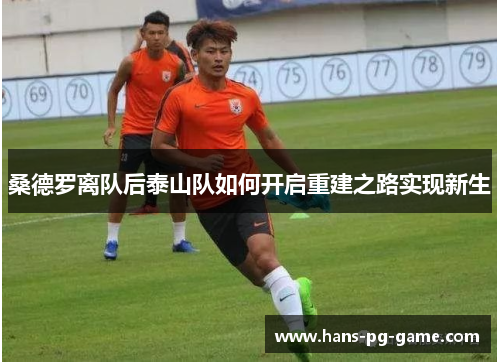桑德罗离队后泰山队如何开启重建之路实现新生